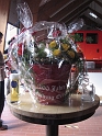 bild (61)